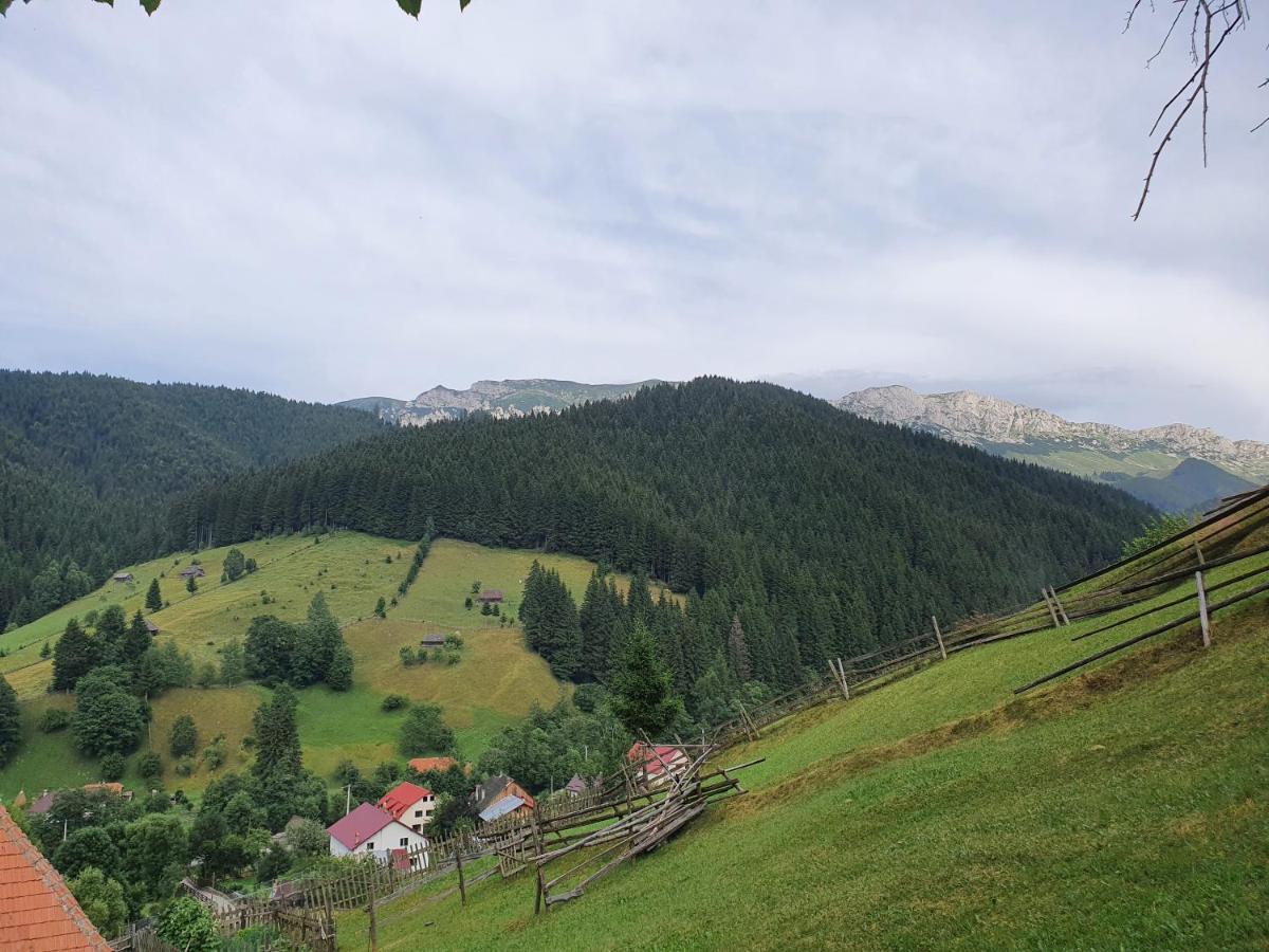 Alegria - Moieciu De Sus Guest house 3*